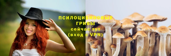 стаф Абдулино