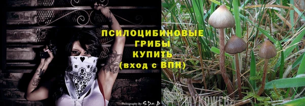 сатива Алзамай