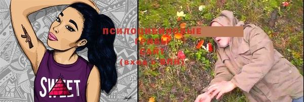 твердый Алексеевка