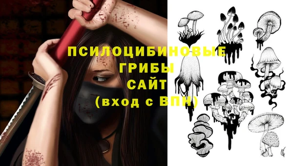 твердый Алексеевка