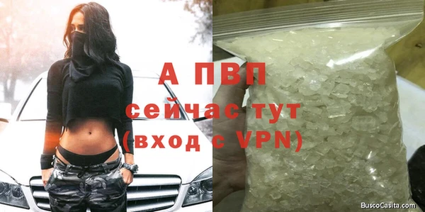 твердый Алексеевка